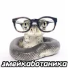 Аватар паблишера SnakeComic