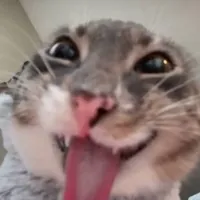 Froazty