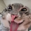 Froazty