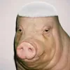 vvideo1
